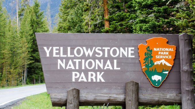 Yellowstone Is Recruiting For 2023 Youth Conservation Corps Program 