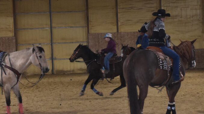 Reining Clinic Held For Rodeo Royalty Contestants Sheridan Wyoming Travel Guide 
