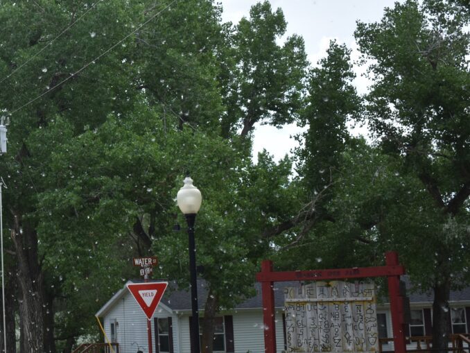 Summer Snow, Cottonwood Cotton in the Air Sheridan Wyoming Travel Guide